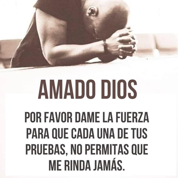 vanne_princez